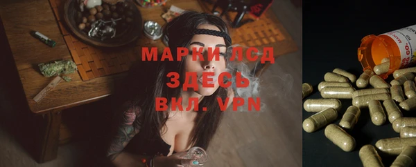 МДПВ Белокуриха