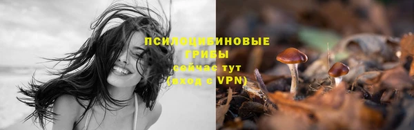 МДПВ Белокуриха