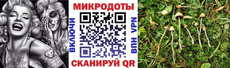 Галлюциногенные грибы мухоморы  даркнет сайт  ссылка на мегу   Кстово 
